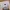 https://res.cloudinary.com/billionhands/image/upload/v1781723314/items/fc6mucm1i2i8wow3e4ff.jpg-2cover