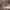 https://res.cloudinary.com/billionhands/image/upload/v1781723570/items/l8yqrus0ldqfctnxbjpf.jpg-0cover