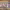 https://res.cloudinary.com/billionhands/image/upload/v1781724665/items/zryejmzwwfzeltaiardj.jpg-0cover