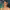 https://res.cloudinary.com/billionhands/image/upload/v1781724667/items/oxe6gxurrfyl1wlhms8e.jpg-2cover