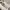 https://res.cloudinary.com/billionhands/image/upload/v1781724711/items/c5r2shrfrvkk1egigfrd.webp-0cover