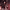 https://res.cloudinary.com/billionhands/image/upload/v1781725094/items/rahwv9zhpwkgh0ysdhqv.jpg-1cover