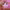 https://res.cloudinary.com/billionhands/image/upload/v1781725689/items/rmf5h2vk4zngduy3unus.gif-3cover