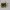 https://res.cloudinary.com/billionhands/image/upload/v1781726184/items/er7oq0uiadxqkdbjhlss.jpg-1cover