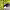 https://res.cloudinary.com/billionhands/image/upload/v1781726791/items/gifypmudaptbsh8oxk1e.jpg-2cover