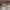 https://res.cloudinary.com/billionhands/image/upload/v1781726837/items/kphgstads5axlnkxgjzv.jpg-3cover
