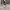 Strapless Beige Satin Effect Maxi Dress (Zara) cover