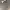 https://res.cloudinary.com/billionhands/image/upload/v1781729705/items/gnc2itnc0xqxim1pyqjt.jpg-3cover