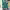 https://res.cloudinary.com/billionhands/image/upload/v1781731023/items/ub0cv4kacxg5iqcjmnxh.jpg-0cover