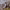 https://res.cloudinary.com/billionhands/image/upload/v1781731052/items/q0urcsns1egc3s4z4qnq.jpg-1cover