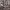 https://res.cloudinary.com/billionhands/image/upload/v1781731053/items/iduki1wlzf0tbgs4l2kd.webp-2cover
