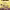 https://res.cloudinary.com/billionhands/image/upload/v1781731062/items/yrkuvrefgjdsu0gai3r1.jpg-2cover