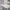 https://res.cloudinary.com/billionhands/image/upload/v1781731795/items/pvbsfy153ezg0lbabmeb.jpg-3cover