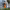 https://res.cloudinary.com/billionhands/image/upload/v1781731905/items/yksdfl2k6fwlqkxc1fwd.jpg-2cover