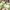 https://res.cloudinary.com/billionhands/image/upload/v1781732203/items/br2njvxlvdtr0pppqz9i.jpg-1cover