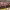 https://res.cloudinary.com/billionhands/image/upload/v1781732205/items/hx4okjhiudske1psynqs.jpg-1cover