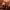 https://res.cloudinary.com/billionhands/image/upload/v1781732849/items/bg54qhcvxbvieaqb0y4x.jpg-0cover