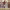 https://res.cloudinary.com/billionhands/image/upload/v1781732857/items/tpchzqnmh9vibdhwiccd.webp-0cover