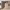 https://res.cloudinary.com/billionhands/image/upload/v1781734527/items/e6e4khgzlmk4sncxhcqw.jpg-2cover