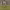 https://res.cloudinary.com/billionhands/image/upload/v1781734633/items/bzwxxu77gknflglnxwbu.webp-1cover