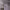 https://res.cloudinary.com/billionhands/image/upload/v1781736673/items/a3gsjliidpqk1yugxgyc.jpg-0cover