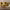 https://res.cloudinary.com/billionhands/image/upload/v1781737190/items/bgqhmpi5gqkupfktc48g.webp-0cover