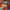 https://res.cloudinary.com/billionhands/image/upload/v1781738571/items/e3io8cx9us9pfzvtpk2n.webp-2cover