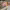 https://res.cloudinary.com/billionhands/image/upload/v1781738574/items/oqagvk7l8tprankqm79i.webp-1cover