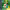 https://res.cloudinary.com/billionhands/image/upload/v1781738658/items/o0pqvjtzataixo1jwyer.jpg-2cover