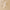 https://res.cloudinary.com/billionhands/image/upload/v1781739094/items/cwskkssr8c2imawvtmek.webp-3cover