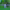 https://res.cloudinary.com/billionhands/image/upload/v1781739219/items/uut40wofhalu1u4qfjgz.jpg-0cover