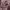 https://res.cloudinary.com/billionhands/image/upload/v1781740347/items/iiwxodqfnrguq3lp9lxs.jpg-0cover