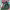 https://res.cloudinary.com/billionhands/image/upload/v1781742147/items/soakbthwfkgu5hcvoi26.jpg-0cover