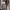 https://res.cloudinary.com/billionhands/image/upload/v1781742231/items/vb4anmrwqu3a0syetfxf.jpg-1cover