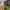 https://res.cloudinary.com/billionhands/image/upload/v1781742530/items/tgjunnd992julzu0t1jg.jpg-3cover