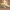 https://res.cloudinary.com/billionhands/image/upload/v1781742539/items/thsaxdixutgi7x17f0ao.webp-3cover
