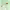 https://res.cloudinary.com/billionhands/image/upload/v1781746292/items/wrrtasbszgnmjavwgrlc.webp-0cover