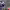 https://res.cloudinary.com/billionhands/image/upload/v1781746340/items/sgyj1eowqqlmstzn8gsd.jpg-0cover