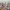 https://res.cloudinary.com/billionhands/image/upload/v1781747332/items/dmuk5lfqerhqokstrkhl.jpg-2cover