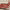 Domino's Pizza cover