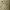 https://res.cloudinary.com/billionhands/image/upload/v1781749774/items/dne1xkoqtnmfoi9bvsfm.png-0cover