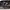 https://res.cloudinary.com/billionhands/image/upload/v1781749927/items/dhyrznqltzqcez14r5ih.jpg-2cover