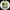 https://res.cloudinary.com/billionhands/image/upload/v1781750762/items/tstthff1lnz6ouwkqkjl.webp-3cover
