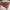 https://res.cloudinary.com/billionhands/image/upload/v1781750896/items/fuutdf0mrmbi9ahi7grh.webp-3cover