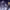 https://res.cloudinary.com/billionhands/image/upload/v1781753786/items/dw8xbitpee8udp4iemkg.webp-3cover