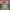 https://res.cloudinary.com/billionhands/image/upload/v1781753972/items/vgrakwormypwllskmfin.jpg-1cover