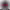 https://res.cloudinary.com/billionhands/image/upload/v1781754237/items/pzffkaryymbdbuzxzmt9.jpg-0cover