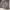 https://res.cloudinary.com/billionhands/image/upload/v1781756331/items/yypnl9awjcnrmsawabkp.jpg-0cover