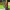 https://res.cloudinary.com/billionhands/image/upload/v1781758535/items/oqvkdswzgb5btwpafhdv.jpg-0cover