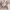https://res.cloudinary.com/billionhands/image/upload/v1781759143/items/wmxmsltt2d73jnuli96j.jpg-3cover